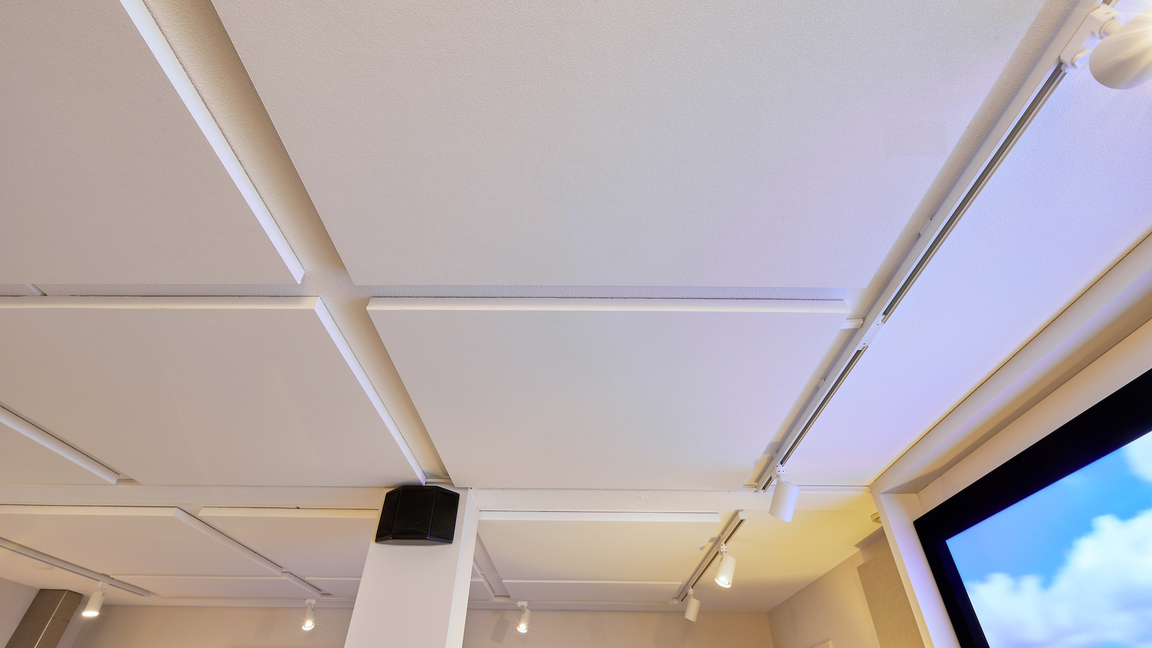 Tegen het plafond Ceiling Panel SAB voor gering hoogteverlies