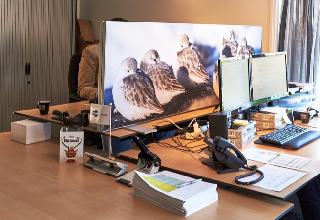 Rivasono Visio Desk Panel bureauscherm met afbeelding