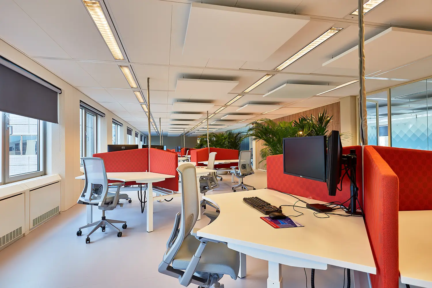 akoestiek kantoor verbeteren plafondpanelen